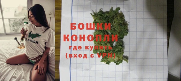 дмт Арсеньев