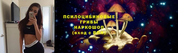 прущие грибы Аркадак