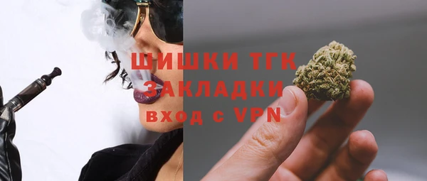спиды Инсар