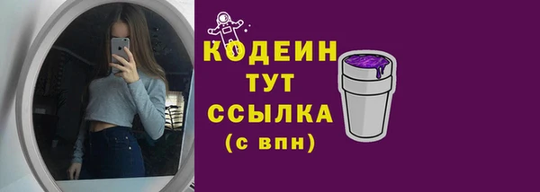 прущие грибы Аркадак