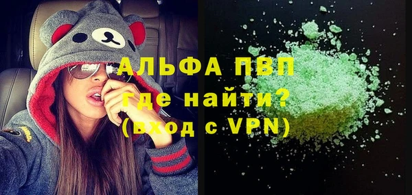 прущие грибы Аркадак