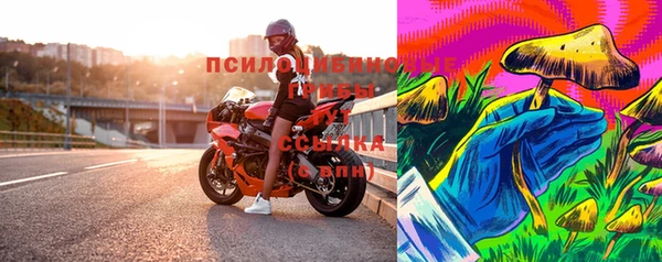 прущие грибы Аркадак