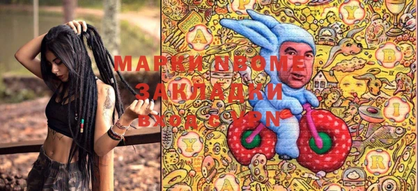 прущие грибы Аркадак