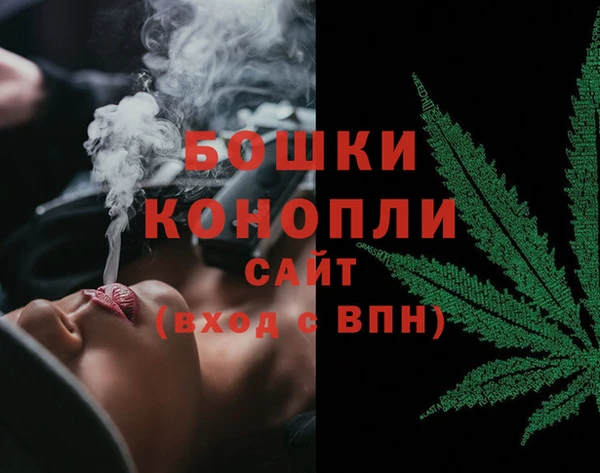 дмт Арсеньев