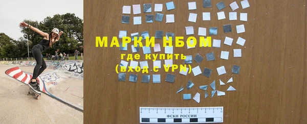 прущие грибы Аркадак